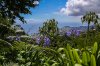 8/IMG_0373 site.jpg